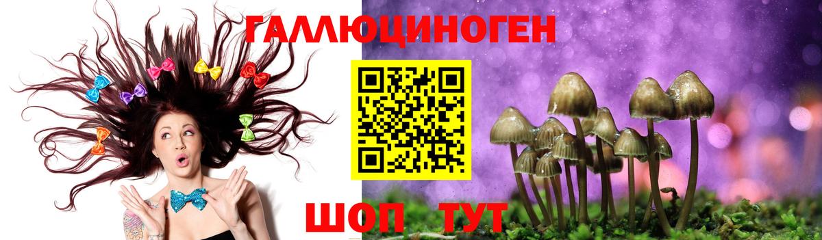 Киров  Галлюциногенные грибы мицелий  Вход с VPN 