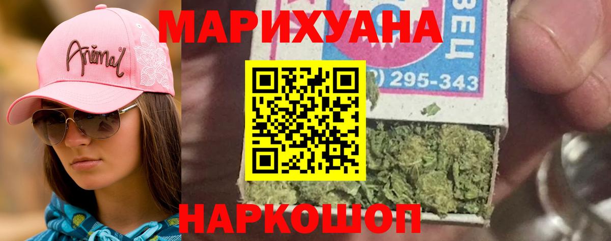 Каннабис индика Киров